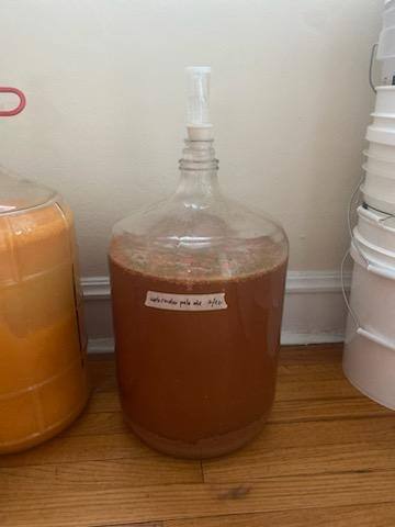 5 gallon fermentor filled with light red ale